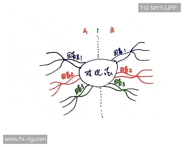 势不可挡的视频潮流如何改变我们的生活方式与思维方式