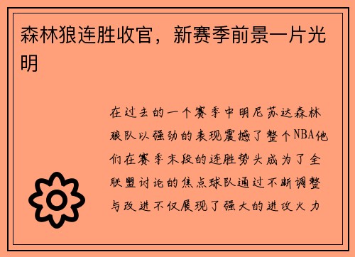 森林狼连胜收官，新赛季前景一片光明